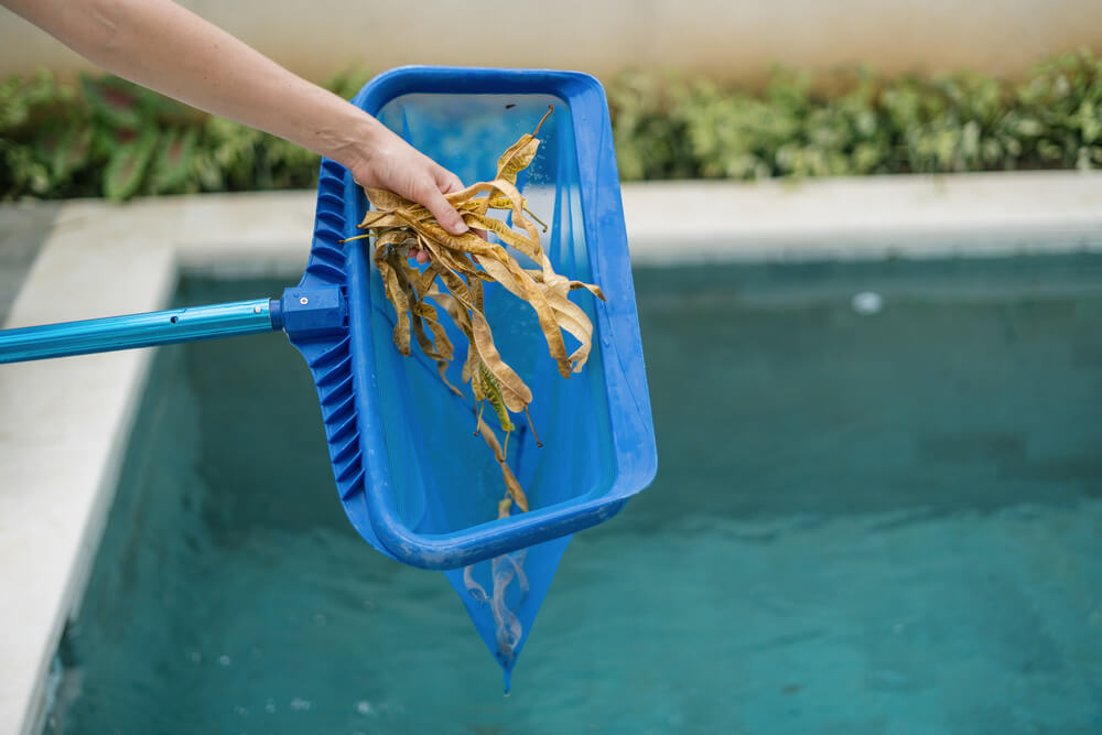 Primer plano de un recogedor de piscina eliminando hojas del agua, destacando una tarea esencial del mantenimiento invernal.